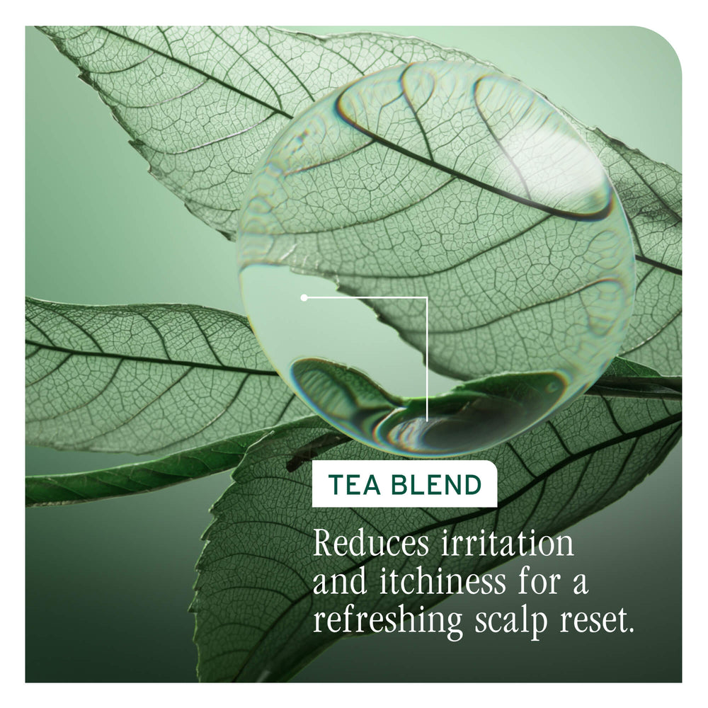 H E A D S T A R T  S H O P