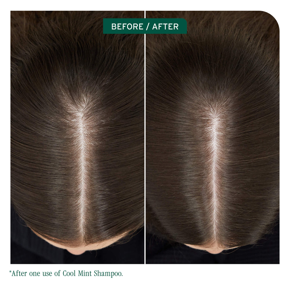 H E A D S T A R T  S H O P