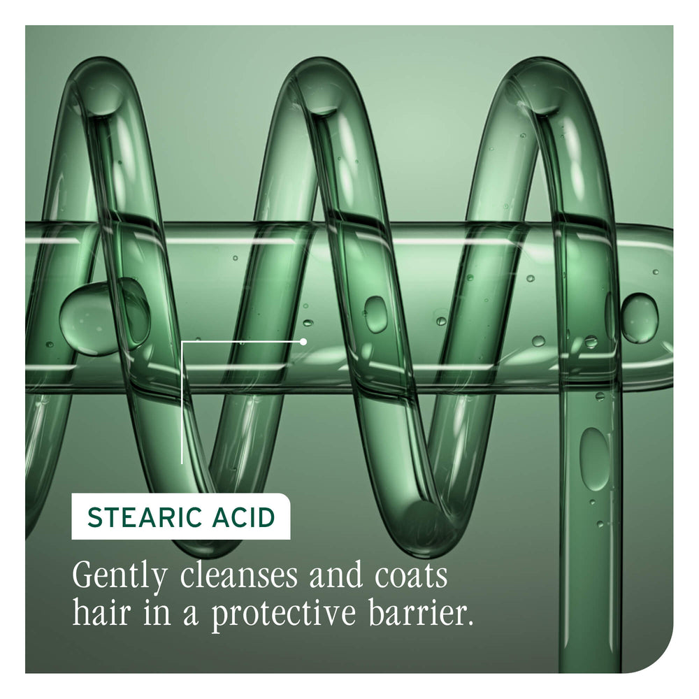 H E A D S T A R T  S H O P