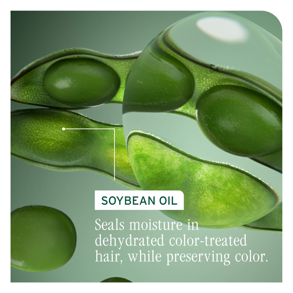 H E A D S T A R T  S H O P