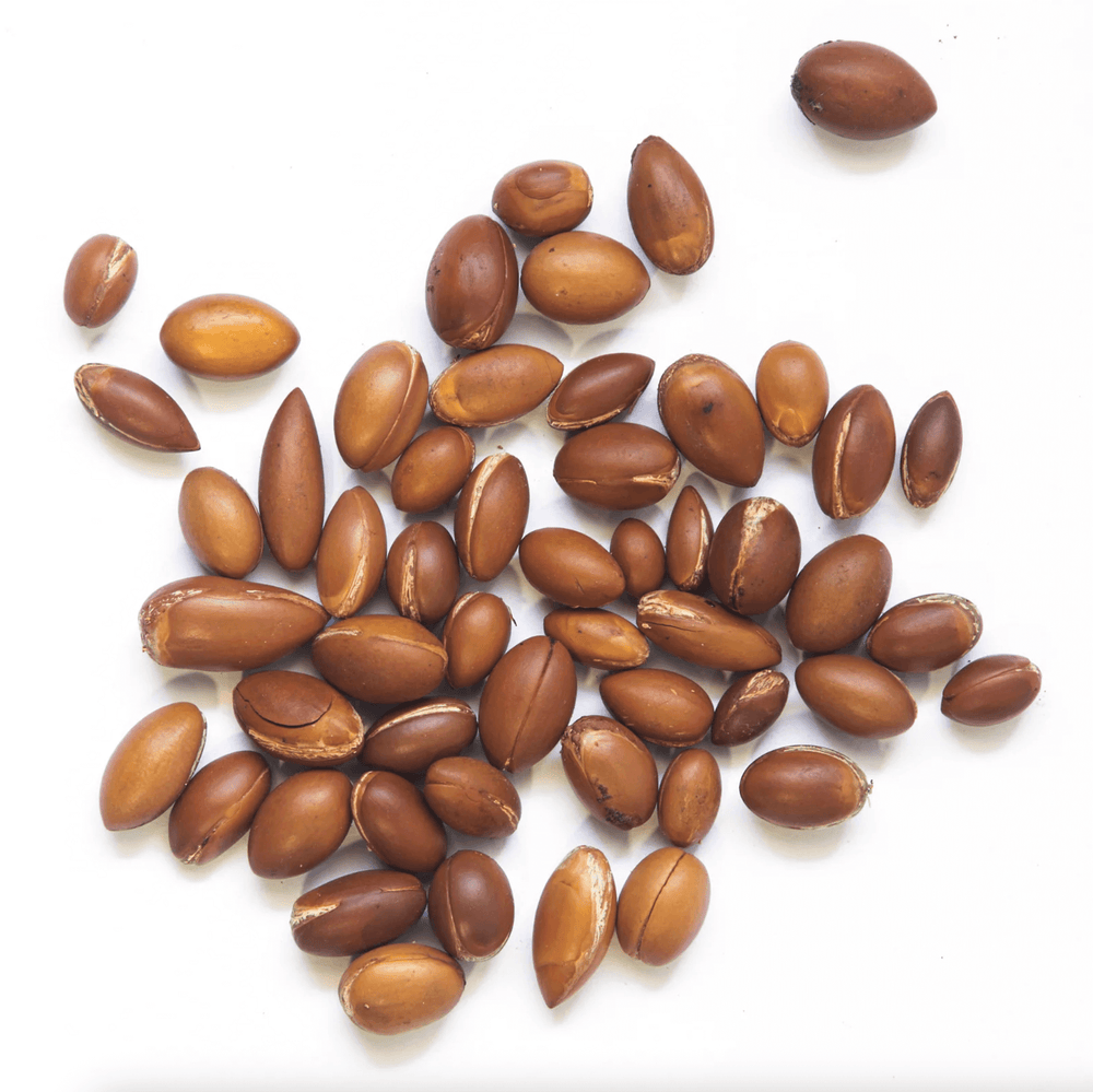 H E A D S T A R T  S H O P