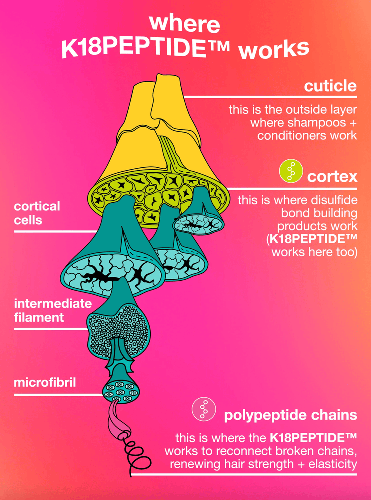 H E A D S T A R T  S H O P